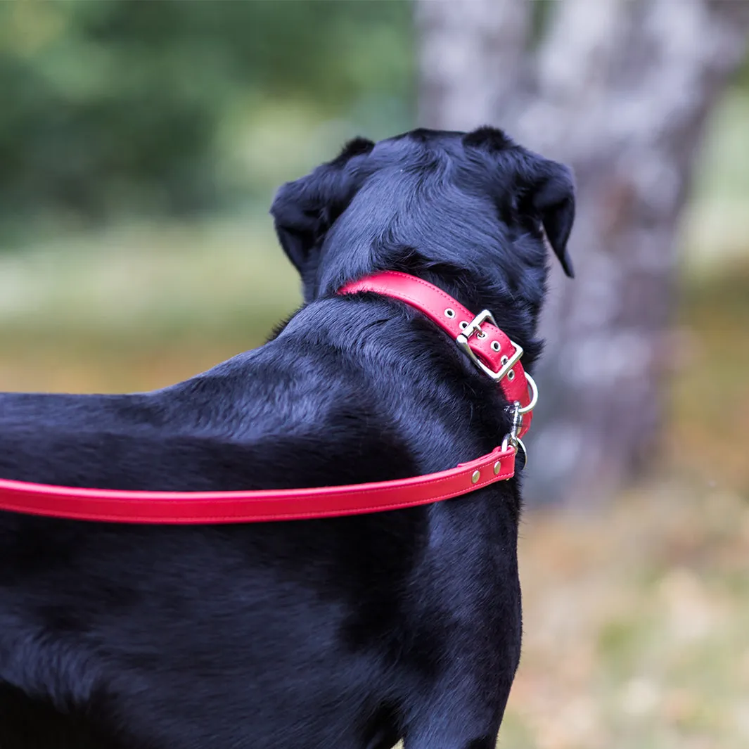 Classic Leather Dog Collars by Petiquette