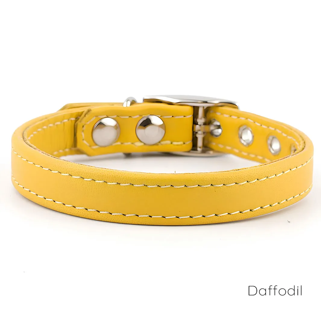 Classic Leather Dog Collars by Petiquette