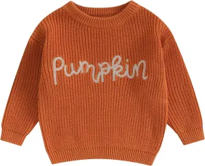 Infant Baby Boy Girl Oversized Knit Sweater Chunky Long Sleeve Pullover Sweater Shirts Warm Fall Winter Tops Clothes