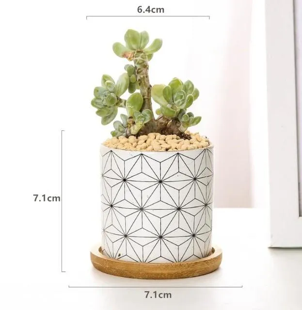 Rory - Round Geometric Pattern Flower Pot