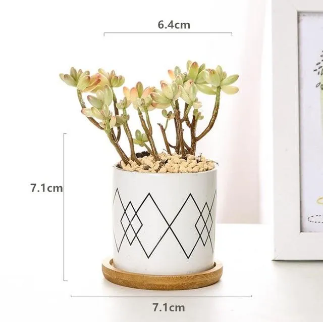 Rory - Round Geometric Pattern Flower Pot