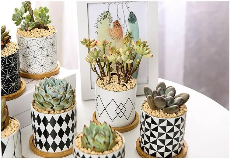 Rory - Round Geometric Pattern Flower Pot